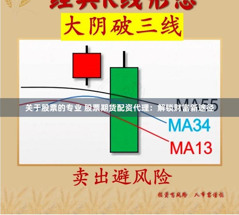 关于股票的专业 股票期货配资代理：解锁财富新途径