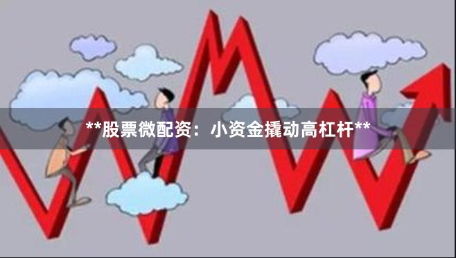 **股票微配资：小资金撬动高杠杆**