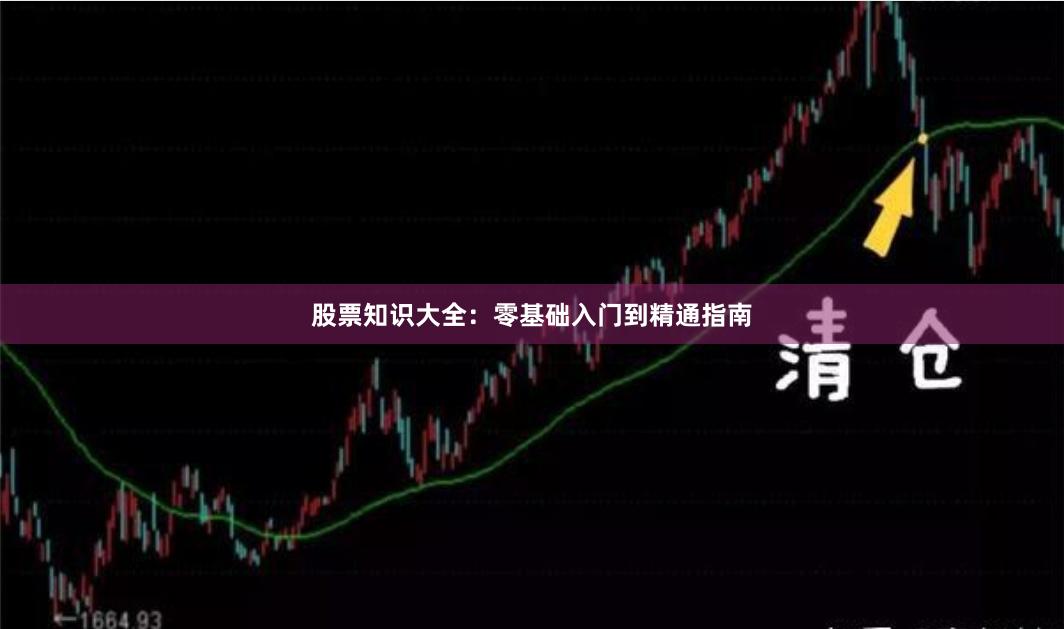 股票知识大全：零基础入门到精通指南