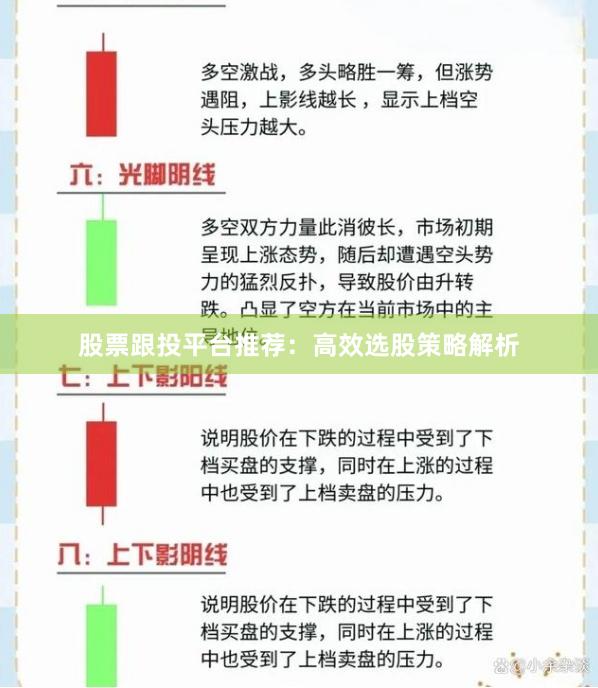 股票跟投平台推荐：高效选股策略解析
