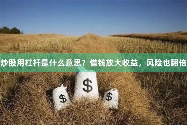炒股用杠杆是什么意思?借钱放大收益,风险也翻倍